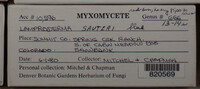 Image Associated With the Occurence